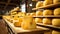 Yellow Dutch Cheese Wheels Aging on Wooden Shelves in Cheese Factory