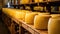 Yellow Dutch Cheese Wheels Aging on Wooden Shelves in Cheese Factory