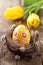 Yellow easter egg in nest