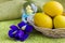 Yellow Easter eggs in basket and blue iris