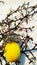 Yellow egg and blackthorn twigs on the yellow background