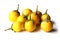 Yellow eggplant group