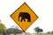 Yellow Elephant wanring sign on the road