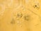 yellow erode painted concrete wall,grunge rough texture background