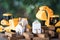 Yellow excavator and bulldozer models with home model on wood block