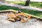 Yellow excavator toy in wooden sandbox at yard. Boy& x27;s toys concept