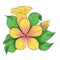 Yellow exotic hibiscus flower illustration