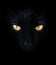 Yellow eyes black cat head. Hypnotizing glance. Halloween. Bad luck.