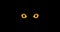 Yellow eyes of a cat in the dark, flat 4K animation.