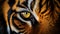 Yellow Eyes Of A Tiger: Photorealistic Detail And Dramatic Lighting