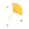 Yellow fallen autumn seasonal leaf from tree vector illustration