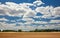 Yellow farmers mature grain crop field