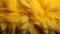 Yellow feathers texture background detailed digital art featuring large bird feathers