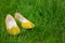 Yellow female shoes on green grass. Blurred macro photo.