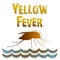 Yellow Fever Mosquito, Standing Water