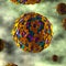 Yellow Fever Virus - in fluid