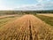 Yellow field of corn in Ukraine rural agricultural countryside. Harvest season