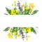Yellow field flowers, watercolor stripe banner, hand drawn
