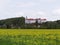 Yellow field in front of the castle Hrastovec