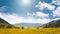 Yellow field in mountain canyon, blue cloudy sky