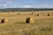 Yellow field with mountains and forest far away and blue sky. Cultivated area with trees. Agriculture