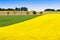 yellow field near Sobotka, Bohemian Paradise landscape, Czech republic