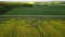 Yellow field with rapeseed flowers. View from a height of a flying drone.