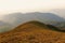 Yellow field on top of the mountain at Monjong