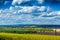 Yellow fields, flowers of rape, colza. Agriculture, spring in Czech Republic