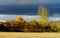 Yellow fields at last autumnal days