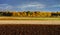 Yellow fields at last autumnal days