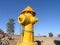 Yellow fire hydrant