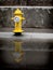 Yellow Fire Hydrant