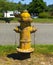 Yellow fire hydrant with Peeling Paint