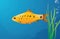 Yellow fish