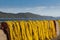 Yellow fishnet drying in the sunlight