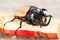 Yellow five horned beetle