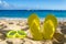Yellow flip flops with swim glasses on the sandy beach
