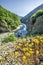 Yellow flovers over Val di Borbera gorge