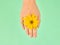 Yellow flower as woman wrist wedding ring jewelry, flowerhead on female hand on green background