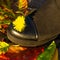 Yellow flower on black lether shoe