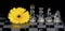 Yellow flower on black and white glass chess board with king, queen, bishop and knight