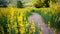 Yellow flower fields with sandy roads