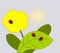 Yellow Flower and Ladybugs.