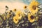 Yellow flower sunflower meadow field vintage retro