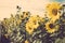 Yellow flower sunflower meadow field vintage retro