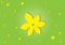 Yellow flowered on green textured background wallpaper