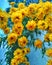 Yellow flowering perennials | Tall yellow flowering perennial