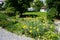 Yellow flowers of Achillea filipendulina in June. Ruedersdorf near Berlin, Germany