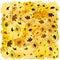 yellow flowers background,beautiful bouquet with sunflowers, a picture of flowers